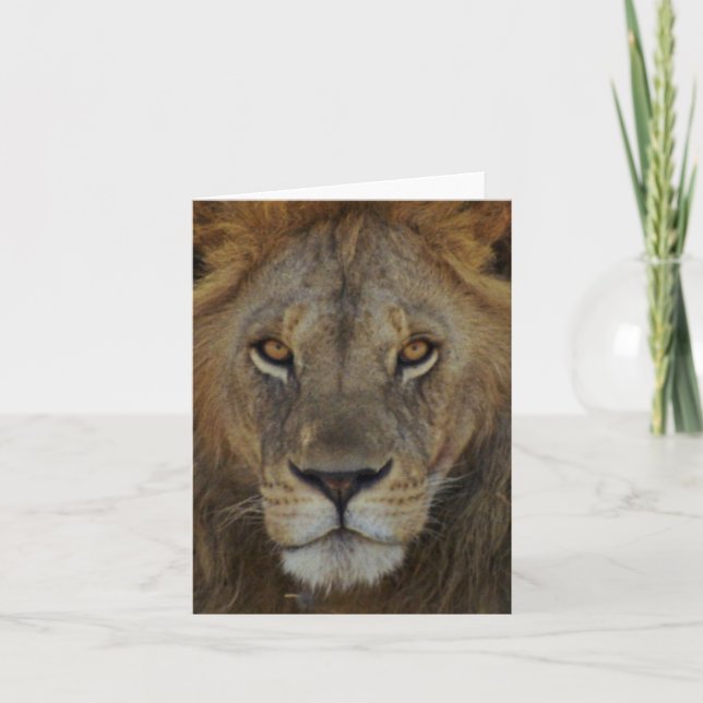 Carte Lion masculin (Devant)