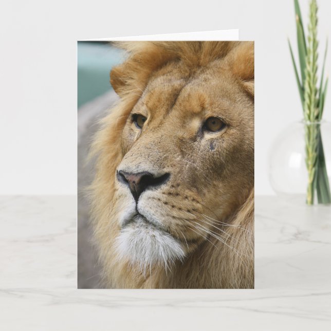 Carte LionKing (Devant)
