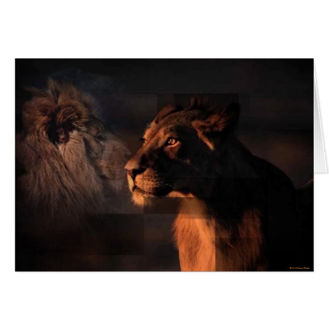 Carte Lions (Devant horizontal)