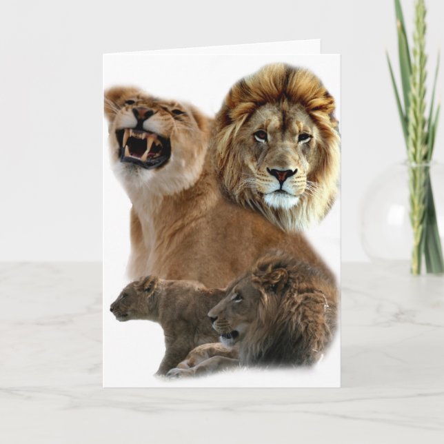 Carte Lions Pride (Devant)