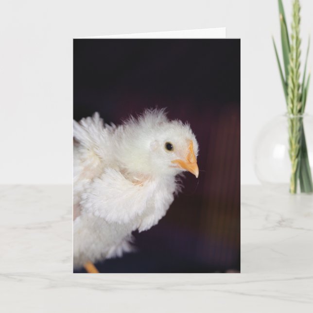 Carte Liquide (Devant)