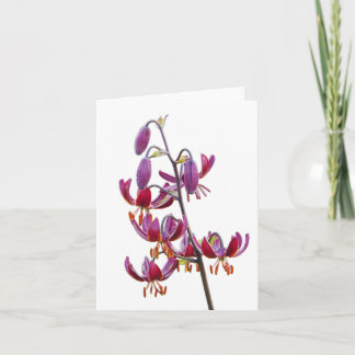 Carte Lis Martagon