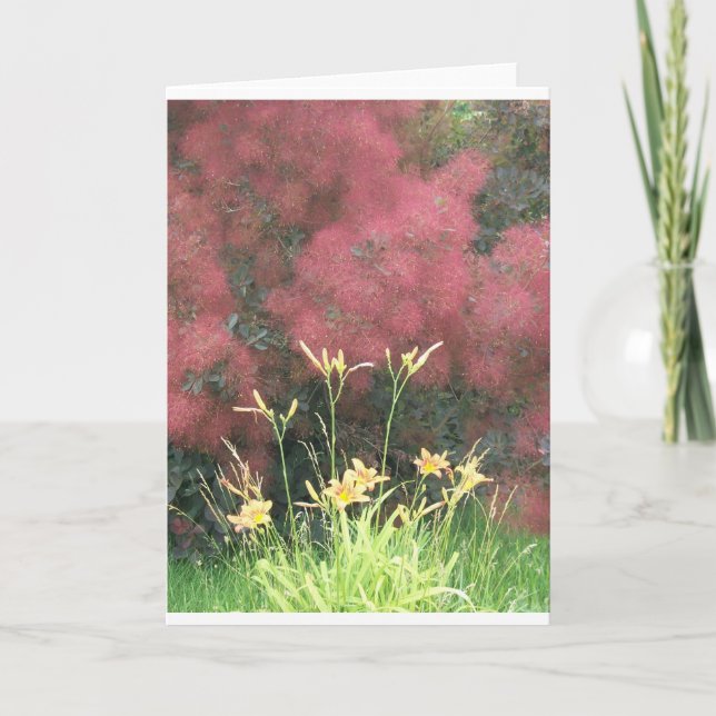 Carte Lis tigrés et Smoketree (Devant)