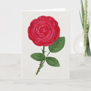Carte Lithographie de rose antique, François-Frédéric Gr