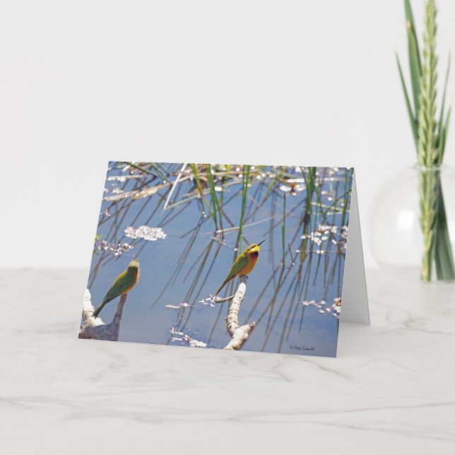 Carte Little Bee Mater (Devant)