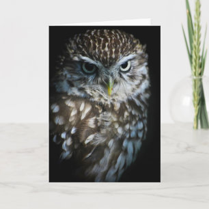 Carte Little Owl Greetings Card