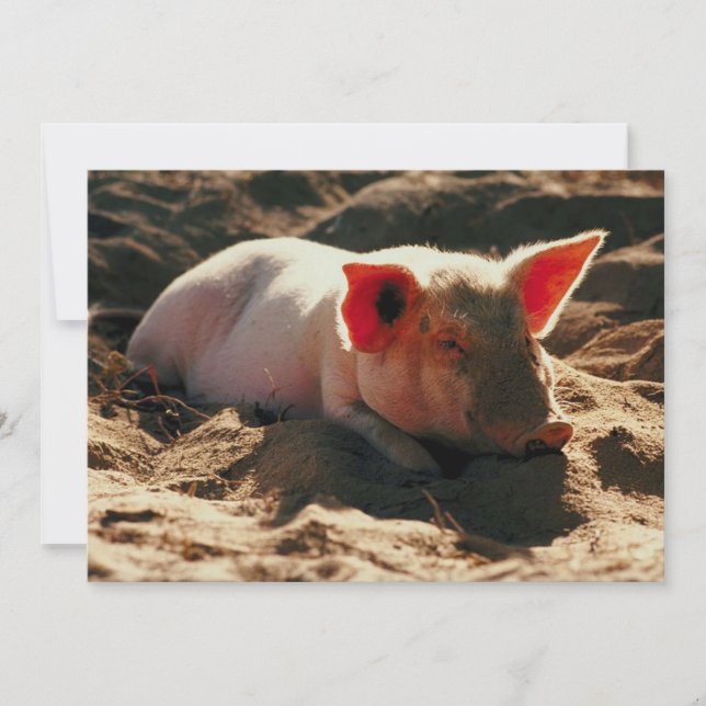 Carte Little Piggy (Devant)