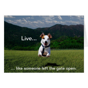 Carte "Live Like One Left Gate Open"