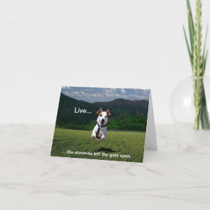 Carte "Live Like Someone Left the Gate Open" Note Cards