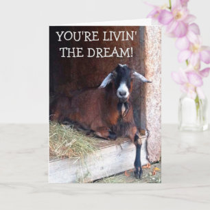 Carte Livin' The Dream Funny Chèvre Anniversaire
