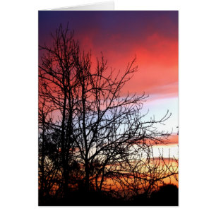 Carte Living Art Tree Silhouette Red Skis