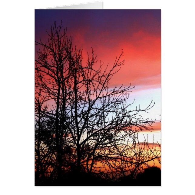 Carte Living Art Tree Silhouette Red Skis (Devant)