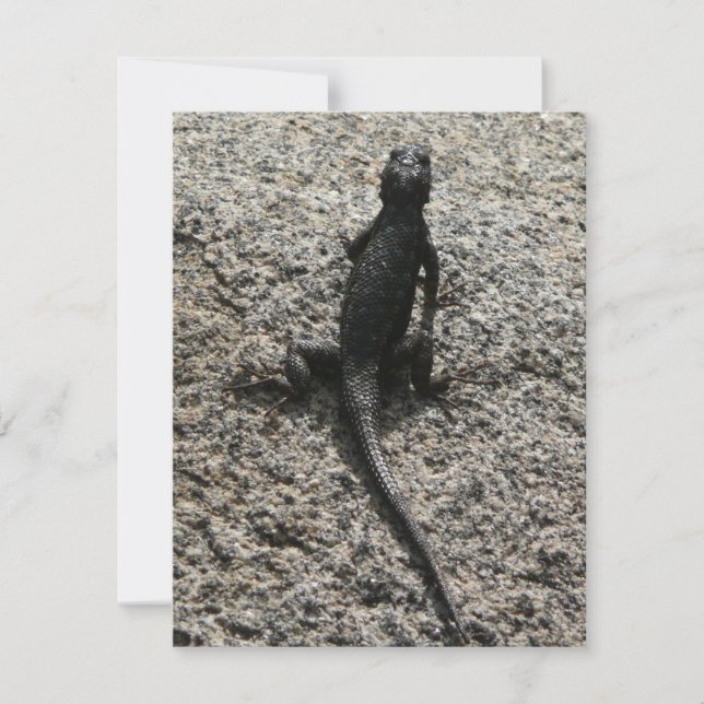 Carte Lizard noir (Devant)