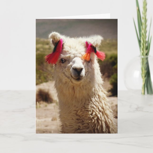 Carte Llama, Anniversaire (Devant)