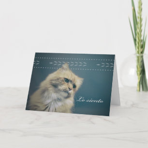 Carte Lo Siento, Sympathie pour la perte du chat