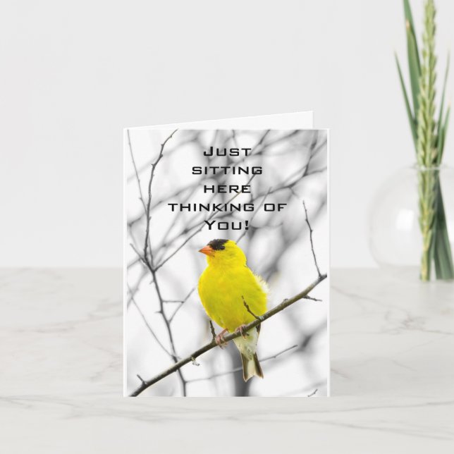 CARTE L'OISEAU DANS L'ARBRE EST HEUREUX COMME PEUT ÊTRE (Devant)