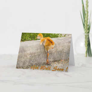 Carte L'oiseau de bébé de Sandhill OBTIENNENT BIEN