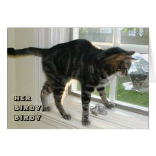 Carte LOL Cat