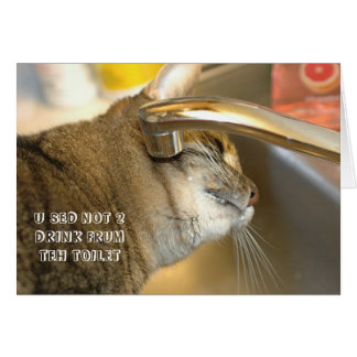 Carte LOL Cat