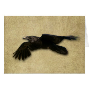 Carte "Lone Crow"