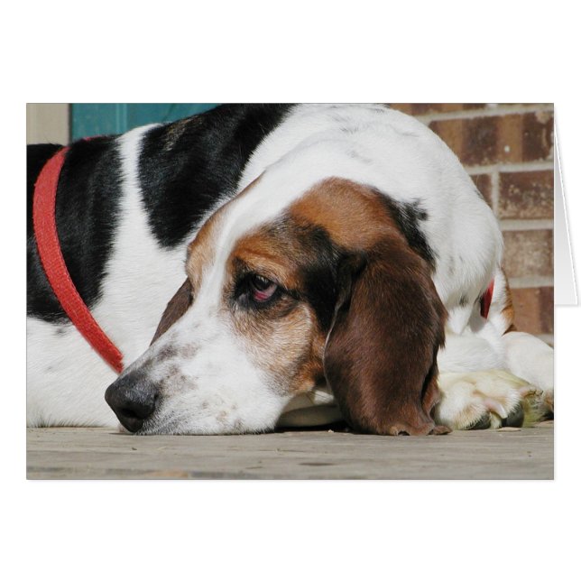 Carte Lonely Basset Hound (Devant horizontal)