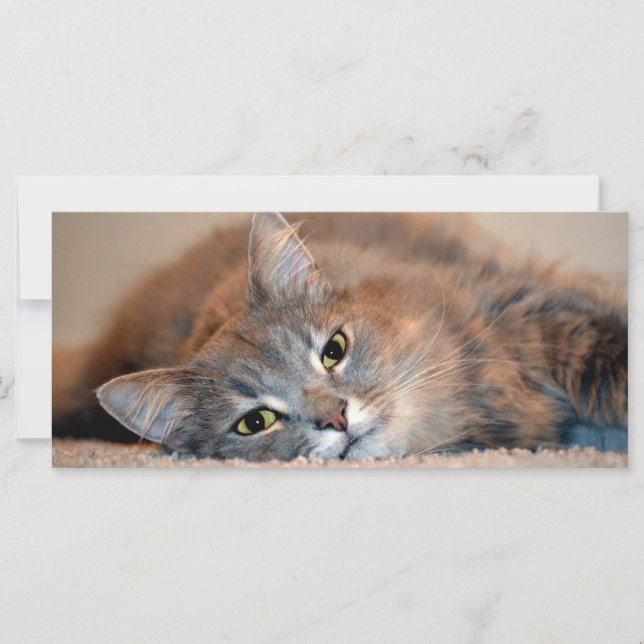 Carte Long chapeau bleu russe par Shirley Taylor (Devant)