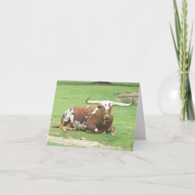 Carte Longhorn Inspiration (Devant)