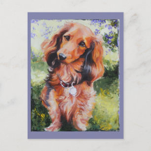 Carte longue Haired Dachshund