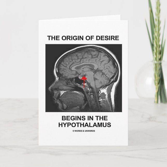 Carte L'Origine Du Désir Commence Dans L'Hypothalamus (Devant)