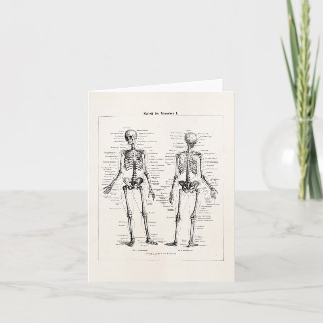 Carte L'os humain squelettique vintage d'anatomie (Devant)
