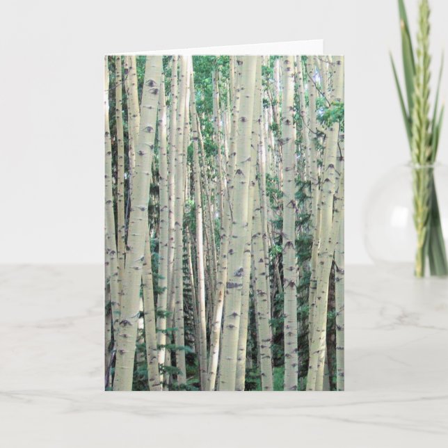 Carte Lost in dans les Aspens - Blank Inside Greeting Ca (Devant)