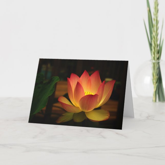 Carte Lotus 1 (Devant)