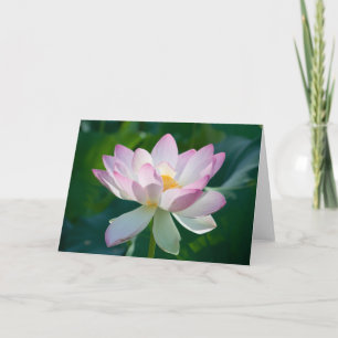 Carte Lotus #2521