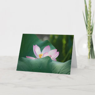 Carte Lotus #2525