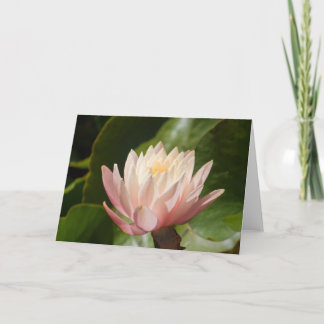 Carte Lotus #2560