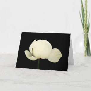 Carte Lotus Bud