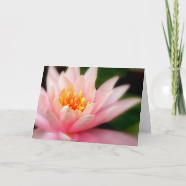 Carte Lotus/carte (Devant)
