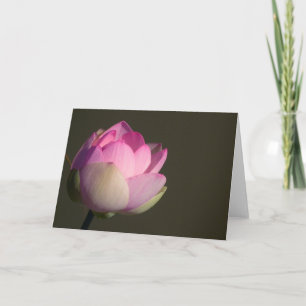 Carte Lotus Rose