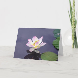 Carte Lotus rose avec dragon Fly