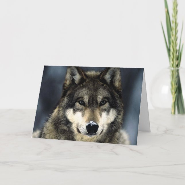 Carte Loup (Devant)