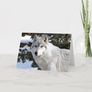 Carte loup