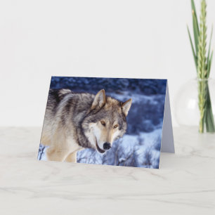 Carte Loup d'hiver 2