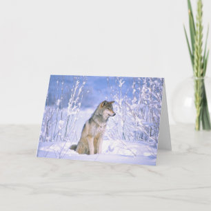 Carte Loup gris assis dans la neige, Canis lupus,