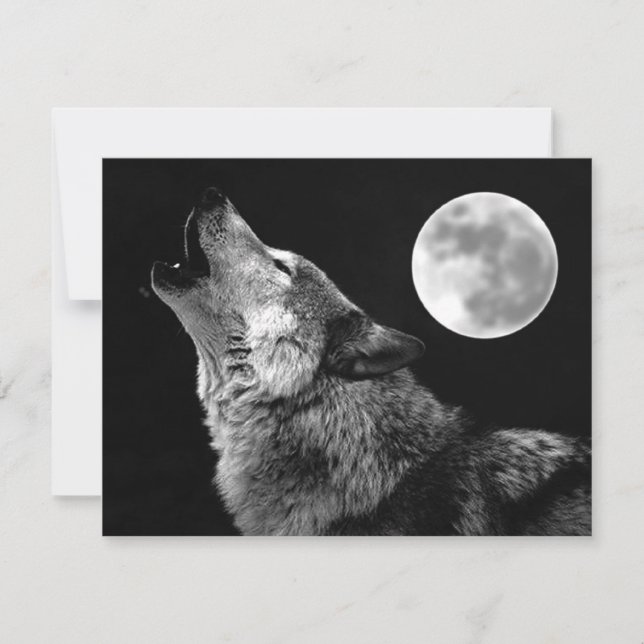 Carte Loup solitaire hurle à la lune (Devant)