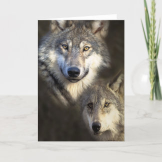 Carte Loups