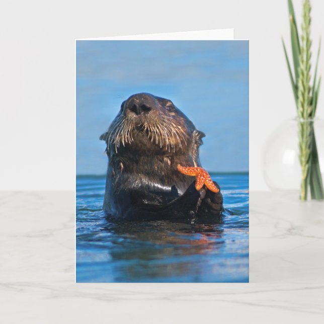 Carte Loutre de mer de Californie Poisson étoilé (Devant)