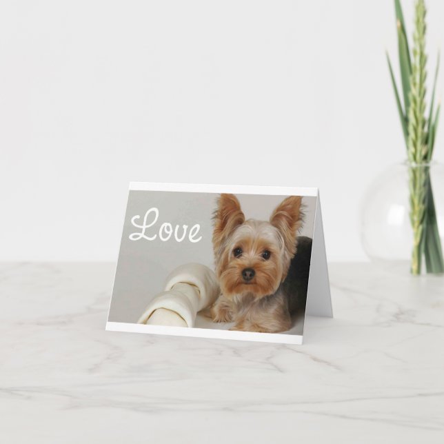 Carte Love Yorkshire Terrier Puppy Dog Blank Card (Devant)