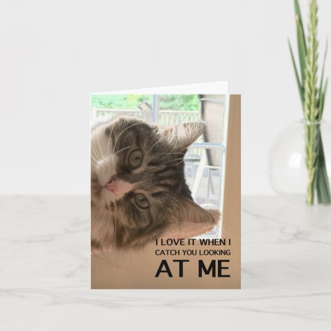 Carte Love Your Cattitude Note Card (Devant)