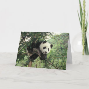 Carte L'petit animal de panda géant grimpe à un arbre,