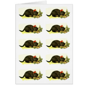 Carte Lucky black chats